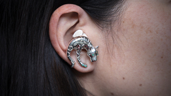 TED: A futuristic vision for Latin America, rooted in ancient design | Catalina Lotero Instructional Video