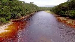 Aerial view of Churun, The Angel Falls river in the Canaima National Park. Venezuela Stock Footage