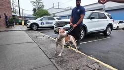 Some Newark shelter dogs will be euthanized Tuesday if no forever home is found News Clip