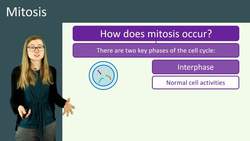 Understanding Mitosis: Cell Division and Reproduction Instructional Video