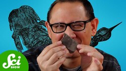 The Rare Fossils We Find By The Thousands Instructional Video