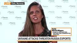 Russian Commodity Exports at Risk News Clip