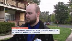 6 people injured, at least 7 cats die in Old Bridge apartment fire News Clip