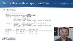 Cisco CCNA 200-301: The Complete Guide to Getting Certified - Verification - show spanning-tree Instructional Video