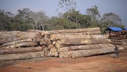 CLEAN : Alarma global por incendios en la Amazonía News Clip