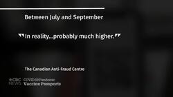 Text-based COVID-19 vaccine certificates easy to fake, experts say News Clip