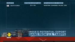 US tariffs: a look at India's potential export gains from trump's tariffs News Clip