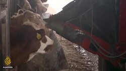 UK trade deals: Concern over unregulated imports News Clip