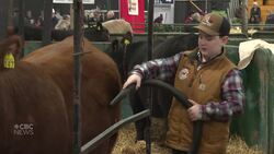 Easter Beef helps connect Island youth with agriculture News Clip