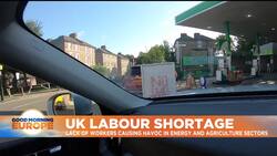 UK labour shortages: Will there be turkeys for Christmas in post-Brexit Britain? News Clip
