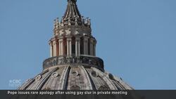 Pope apologizes for using homophobic slur News Clip