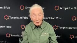 CLEAN : Climate change at 'point of no return': primatologist Goodall News Clip