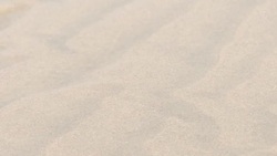 CLEAN : French beach becomes gateway for illegal Channel crossings News Clip