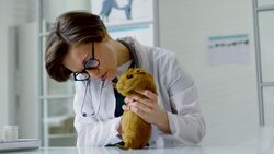 Where Do People Work? Instructional Video