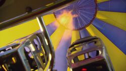 Kangaroos of Canberra Instructional Video