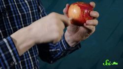 Fun With Potatoes & Physics! A SciShow Experiment Instructional Video