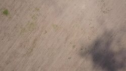 Concerns rife in Para over Amazon deforestation News Clip