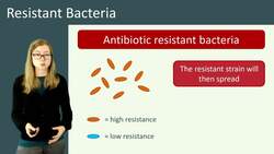Understanding Antibiotic Resistance: The Evolution of Bacteria and the Emergence of Superbugs Instructional Video