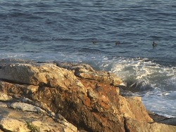 El ciclo de la roca: recapitulando Instructional Video