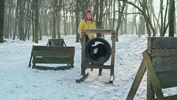 The mature attractive woman train the Bernese Mountain Dog how to jump through the ring Stock Footage