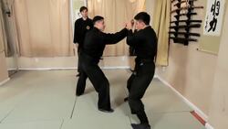 Omote Gyaku Tsuki Technique from Torite Goho Patterns Instructional Video