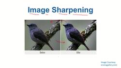 Data Science and Machine Learning (Theory and Projects) A to Z - Image Processing: Image Sharpening Instructional Video