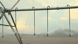 Pivot sprinkler system irrigating crops. Irrigation pivot system watering agriculture field in 4K 60fps Stock Footage