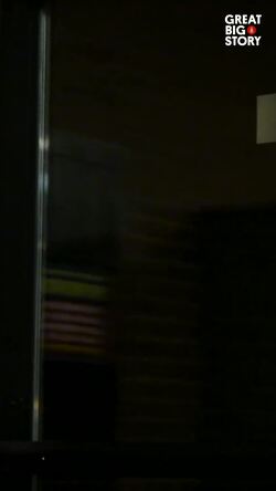 Meet the World’s Fastest (Backwards) Runner Instructional Video