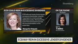 ECB May Use Tools to Rein In Excessive Lender Dividends News Clip