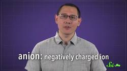 Why Can't We Make a Good Salt Substitute? Instructional Video