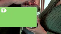 How to Decide If You Should Get Pet Insurance Instructional Video