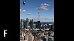 Rising rat populations cost the U.S. $27 billion a year News Clip