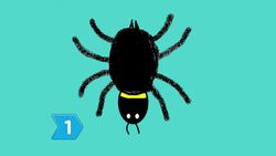 How to Eat Spiders Instructional Video
