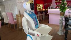 Breakfast means breakfast: Tea room robot named Theresa News Clip
