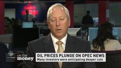 Weathering the ups and downs News Clip