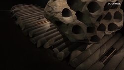 'A Manifesto of Fragility’ inspires artists for Lyon Biennale of Contemporary Art News Clip