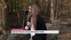 FDNY: Brush fire under control in Van Cortlandt Park; no injuries reported News Clip