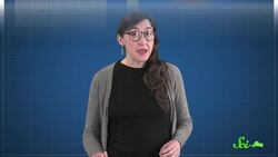 Do Placebos Work For Animals? Yes, Weirdly Enough Instructional Video