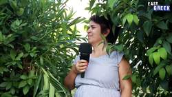 Greek Adverbs of Place | Super Easy Greek 29 Instructional Video