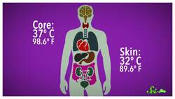 Why Does Body-Temperature Air Feel Hot? Instructional Video