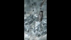 Can a Robot Ever Become Your Friend? Instructional Video