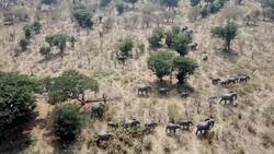 I WONDER - How Long Has David Attenborough Been On Television? Instructional Video