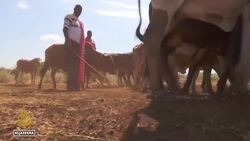 Climate change to make world sicker, poorer: UN report News Clip