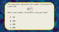 Using Properties of Exponents to Simplify Instructional Video