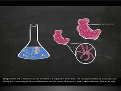 Enzymes 2 Instructional Video