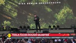 Tesla Posts largest revenue decline in over a decade | WION News Clip