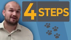 How do you graph a system of linear inequalities Instructional Video