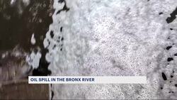 Leak from Con Edison facility leaves unknown amount of oil in Bronx River News Clip