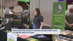 Slithering success: NY Metro Reptile Expo draws crowds to Westchester County Center News Clip