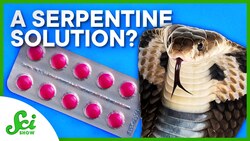 There’s a Venom For That Instructional Video